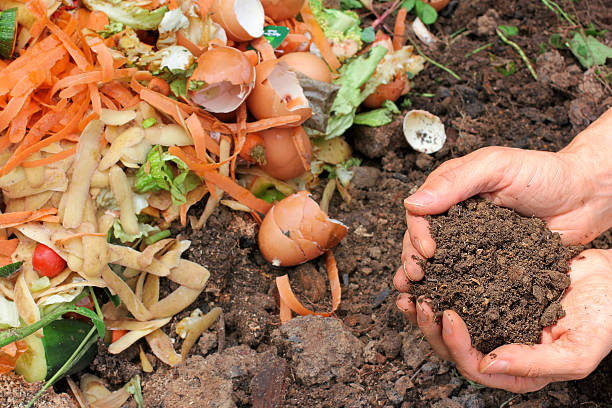 Organic compost