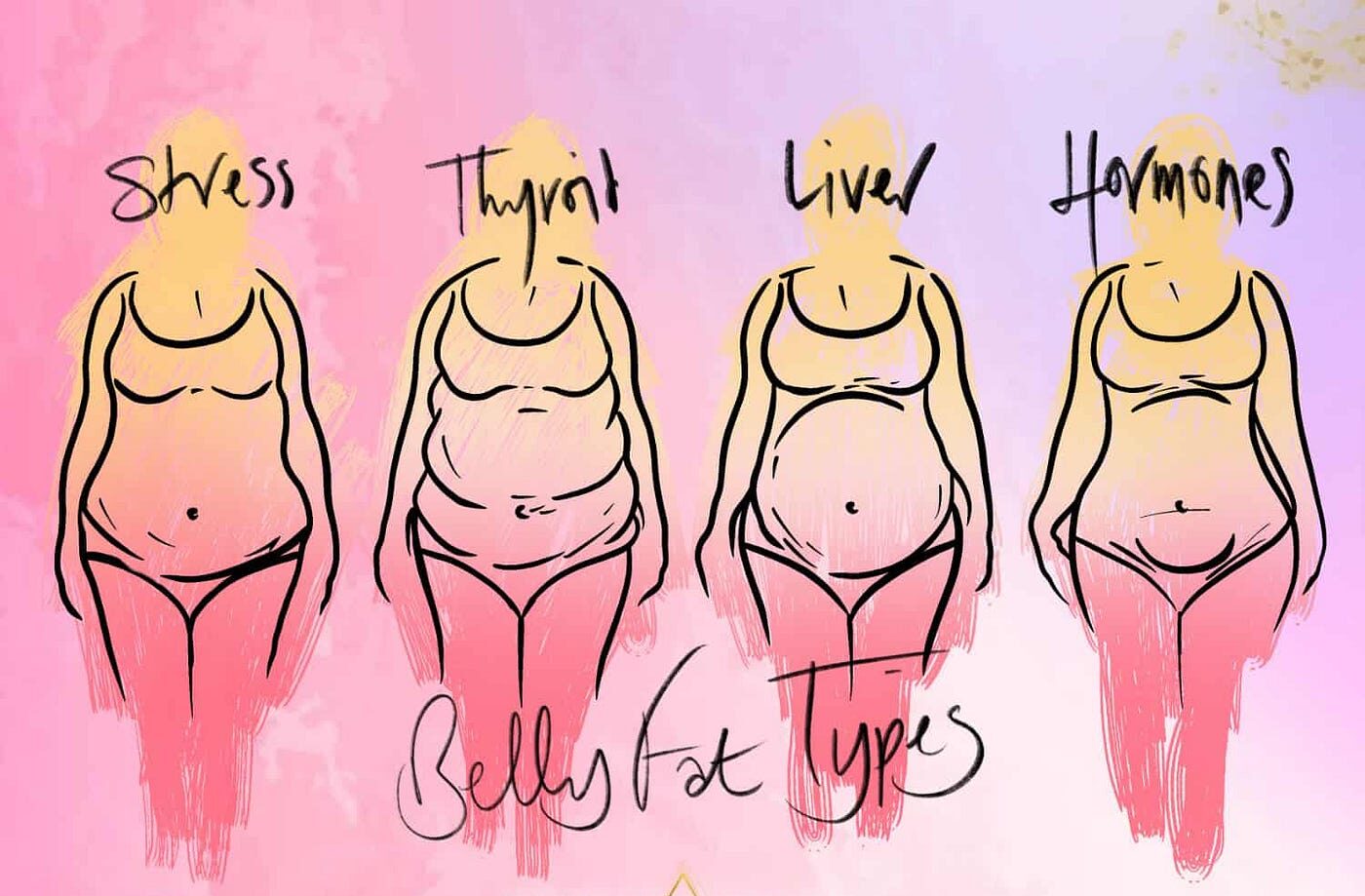what causes belly fat in females